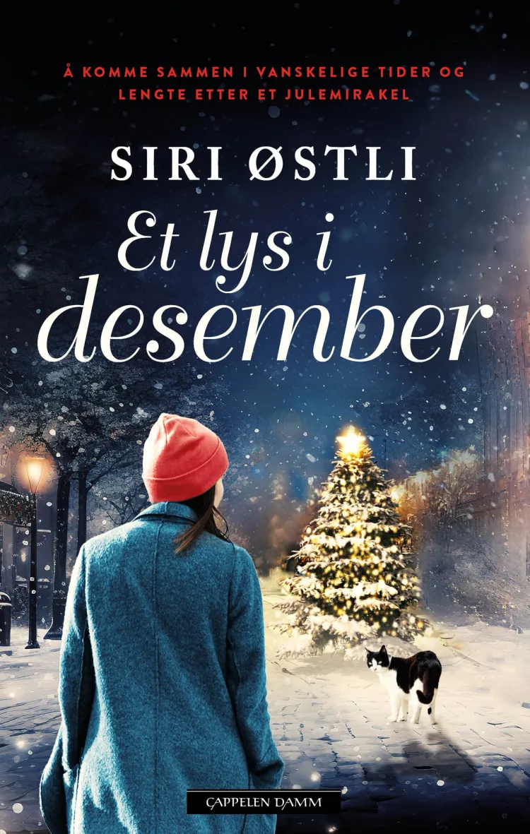 Omslag Et lys i desember av Siri Østli (Heftet)