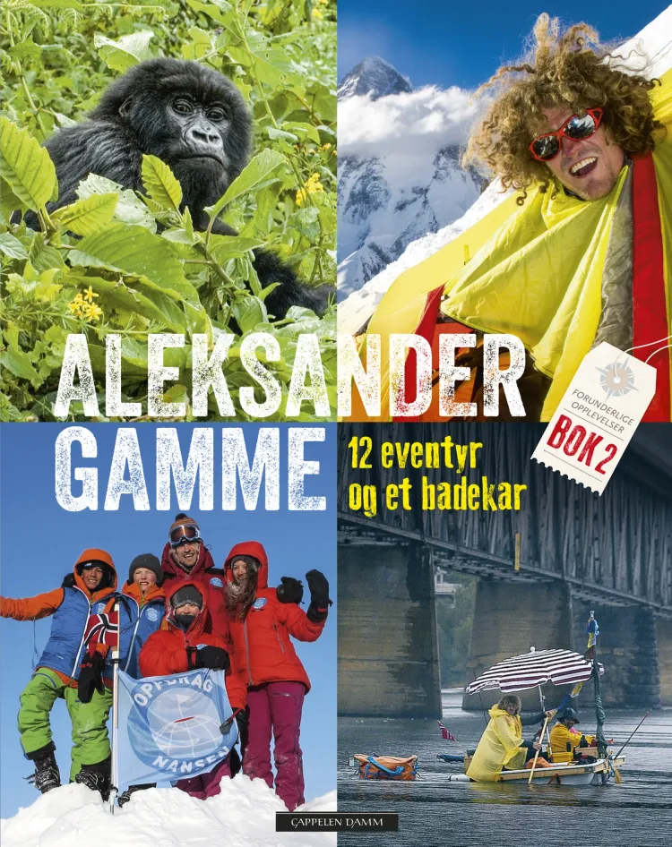 Omslag 12 eventyr og et badekar av Aleksander Gamme (Innbundet)