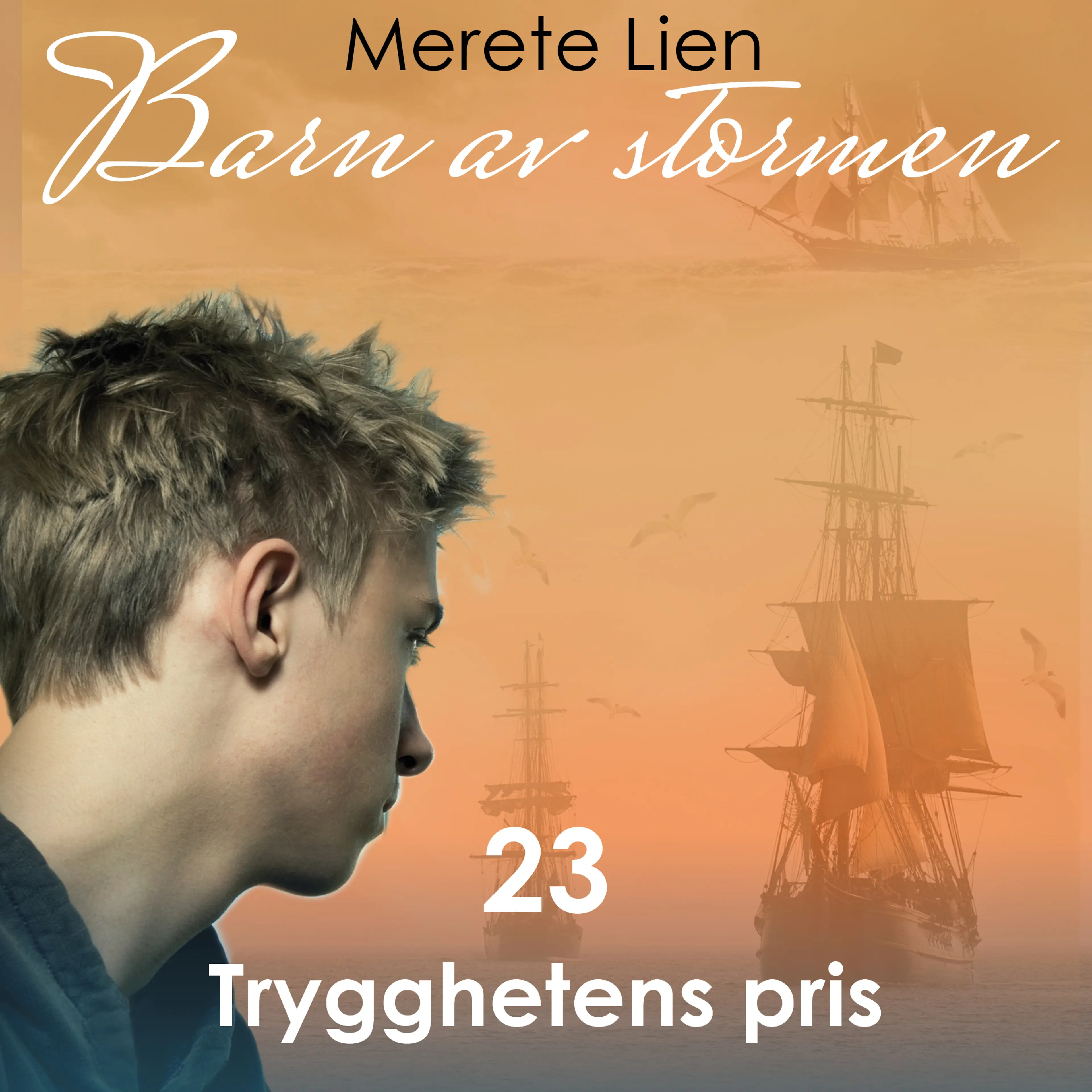 Omslag Trygghetens pris av Merete Lien (Lydbok)