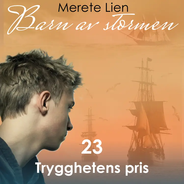 Omslag Trygghetens pris av Merete Lien (Lydbok)