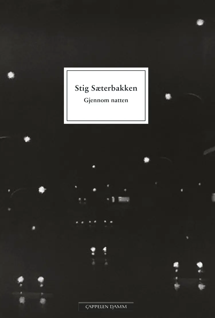 Omslag Gjennom natten av Stig Sæterbakken (Heftet)