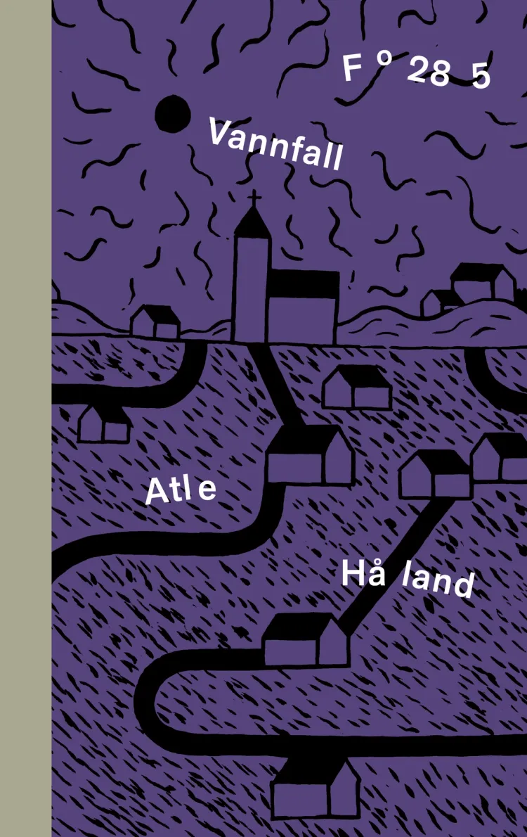 Omslag Vannfall av Atle Håland (Ebok)