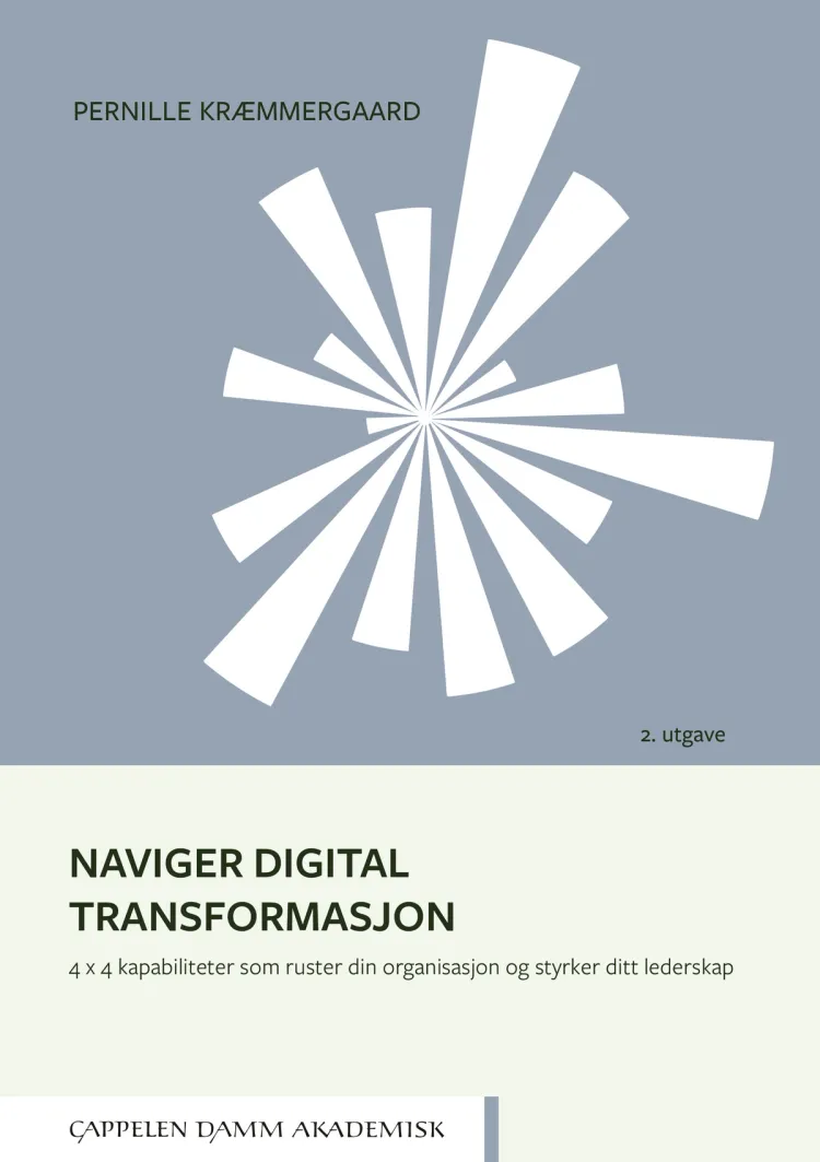 Omslag Naviger digital transformasjon av Pernille Kræmmergaard (Innbundet)