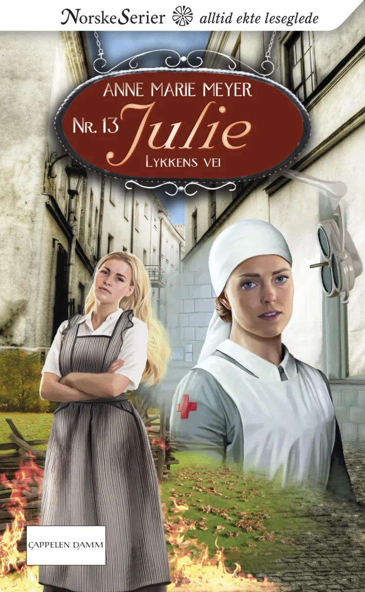 Omslag Lykkens vei av Anne Marie Meyer (Ebok)