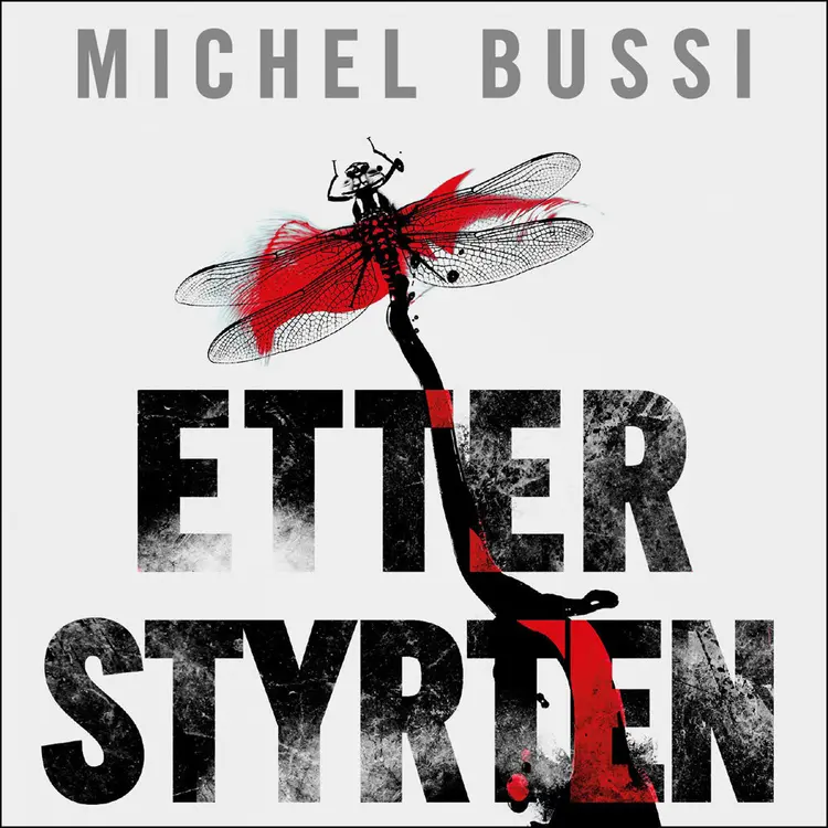 Omslag Etter styrten av Michel Bussi (Lydbok)