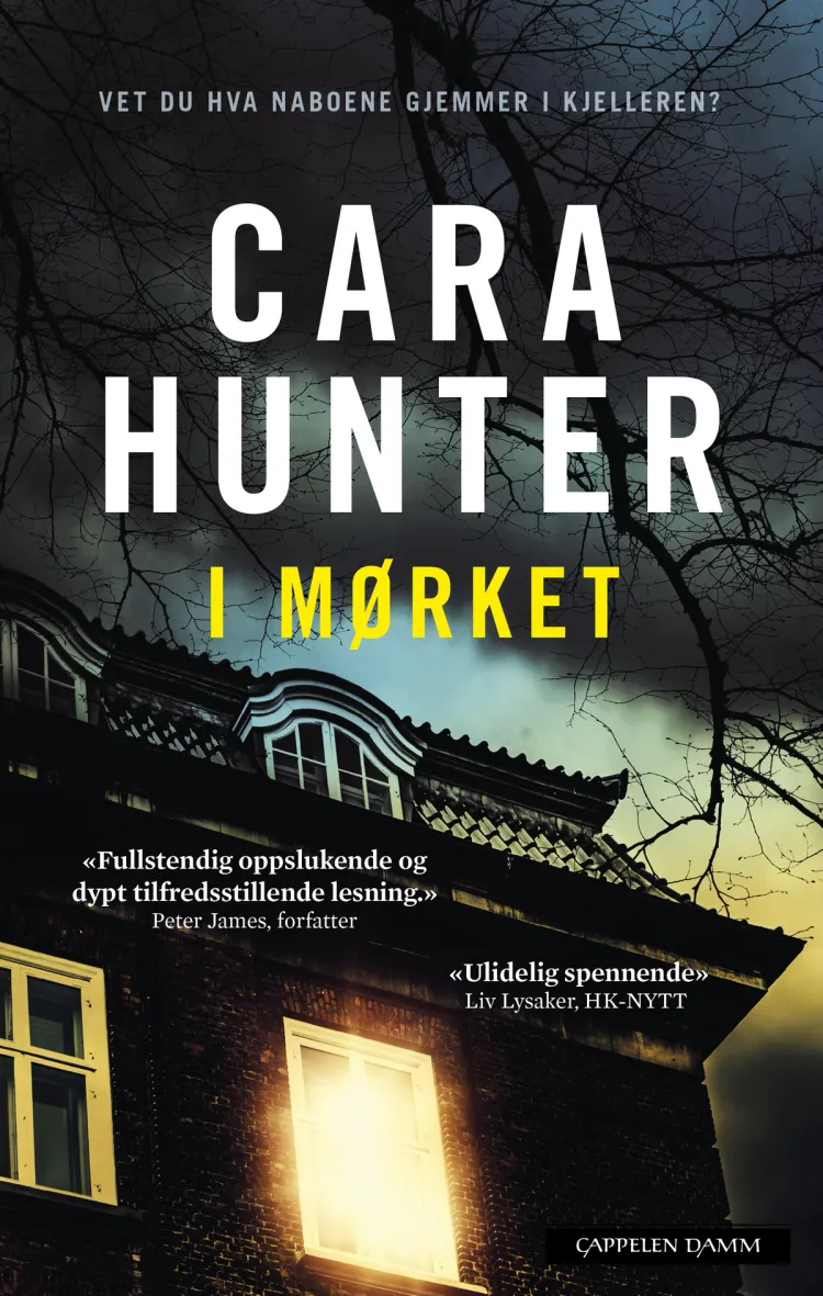 Omslag I mørket av Cara Hunter (Heftet)