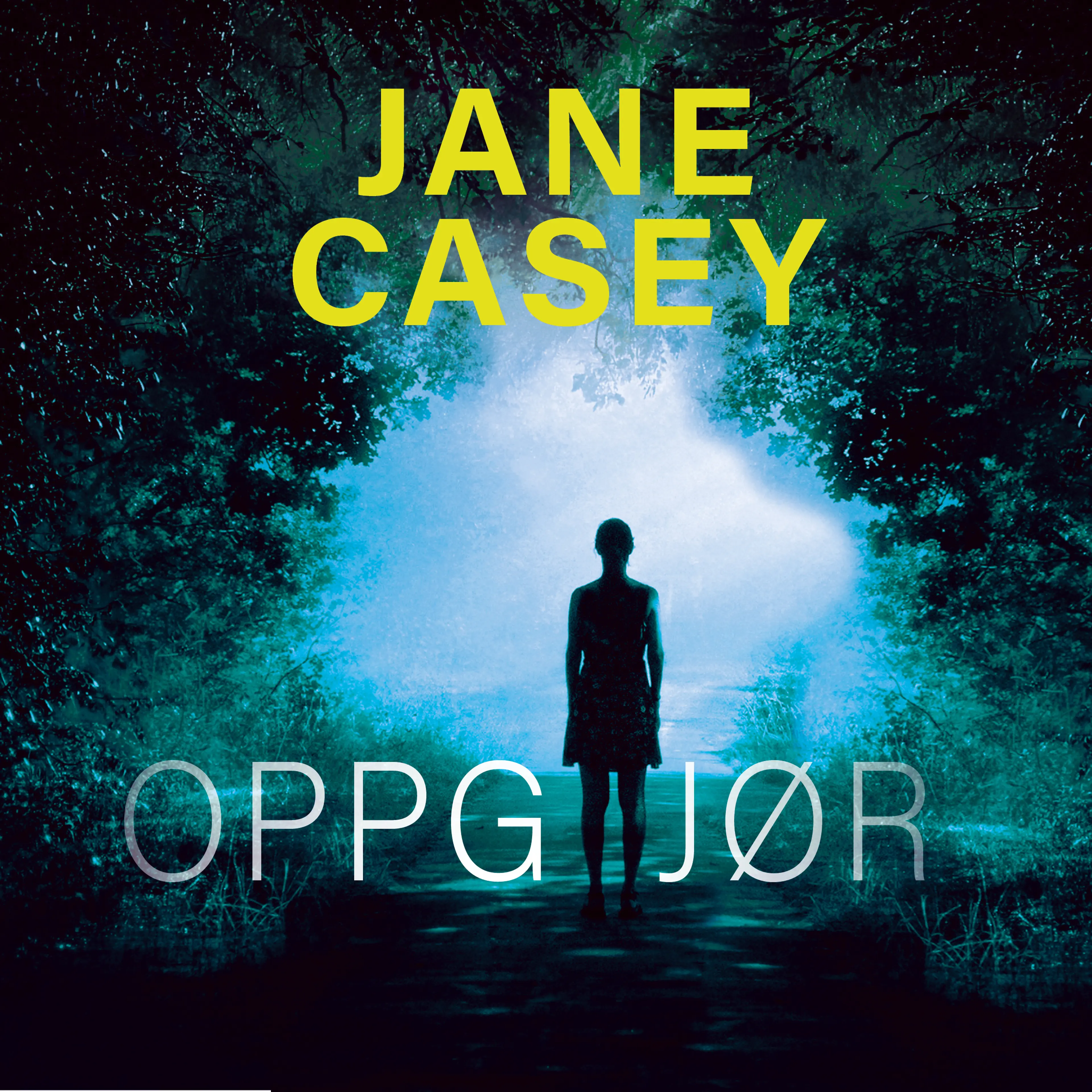 Omslag Oppgjør av Jane Casey (Lydbok)