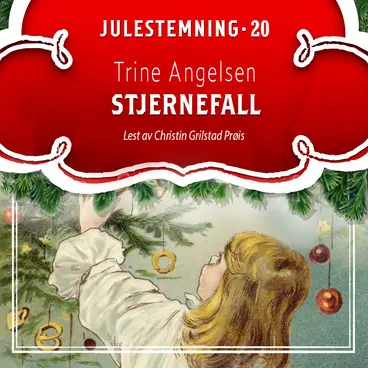 Omslag Stjernefall av Trine Angelsen (Lydbok)