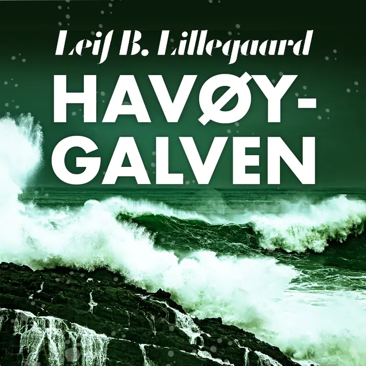 Omslag Havøygavlen av Leif B. Lillegaard (Lydbok)