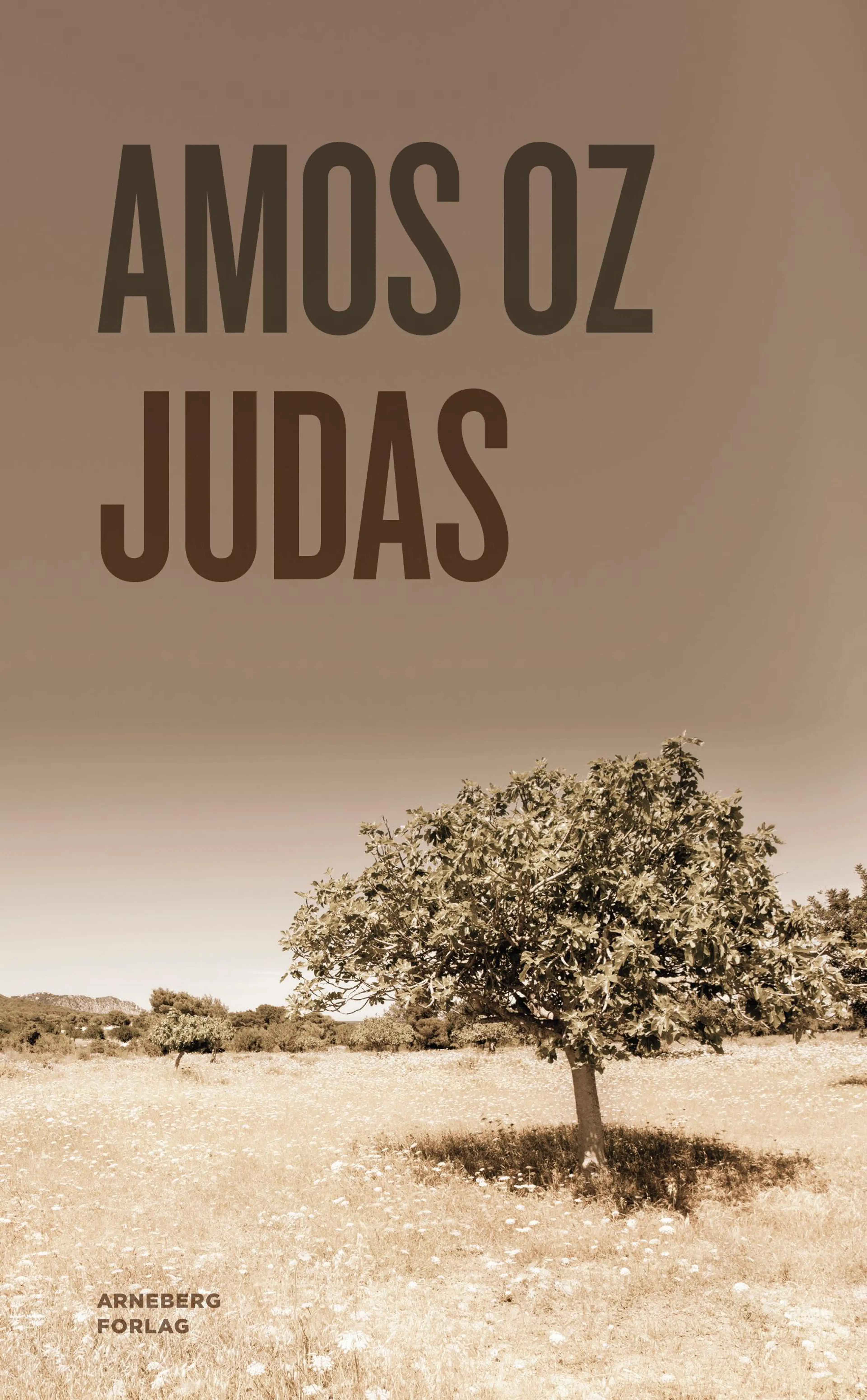 Omslag Judas av Amos Oz (Ebok)