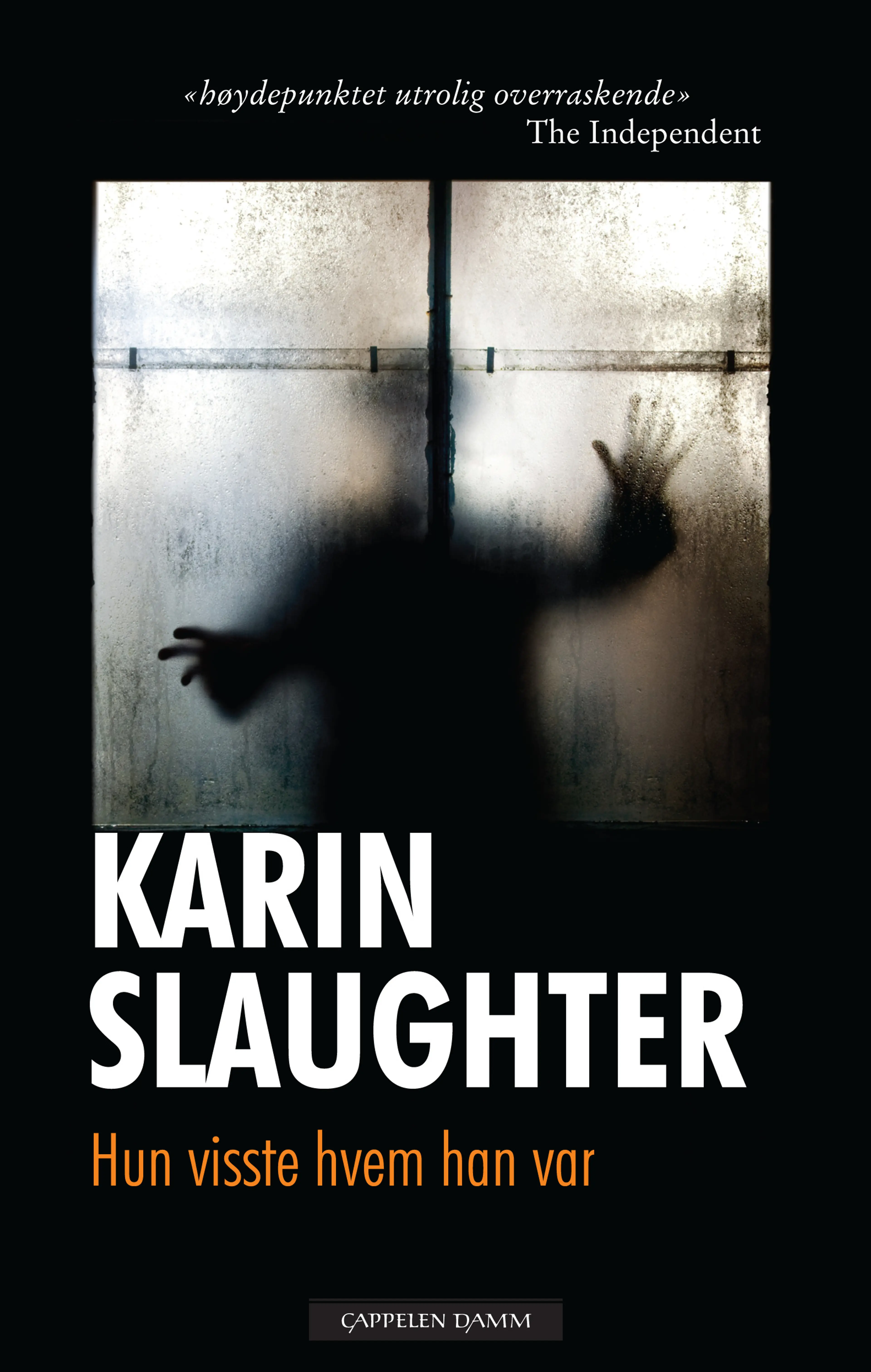 Omslag Hun visste hvem han var av Karin Slaughter (Innbundet)