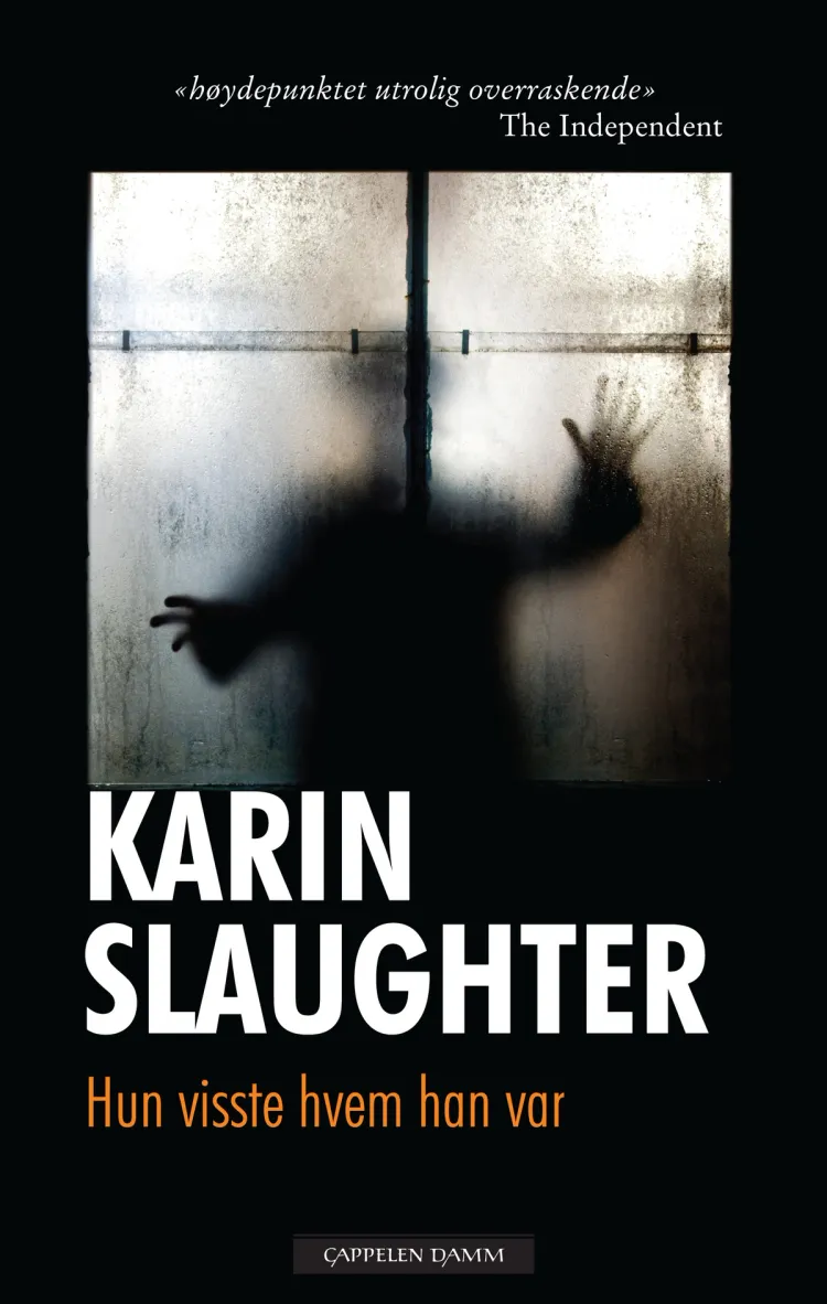 Omslag Hun visste hvem han var av Karin Slaughter (Innbundet)