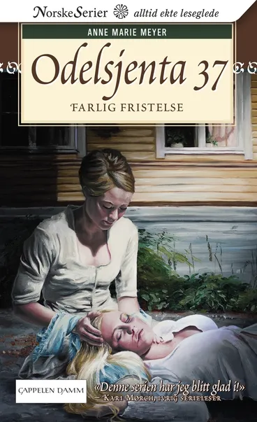 Omslag Farlig fristelse av Anne Marie Løvlie Meyer (Ebok)