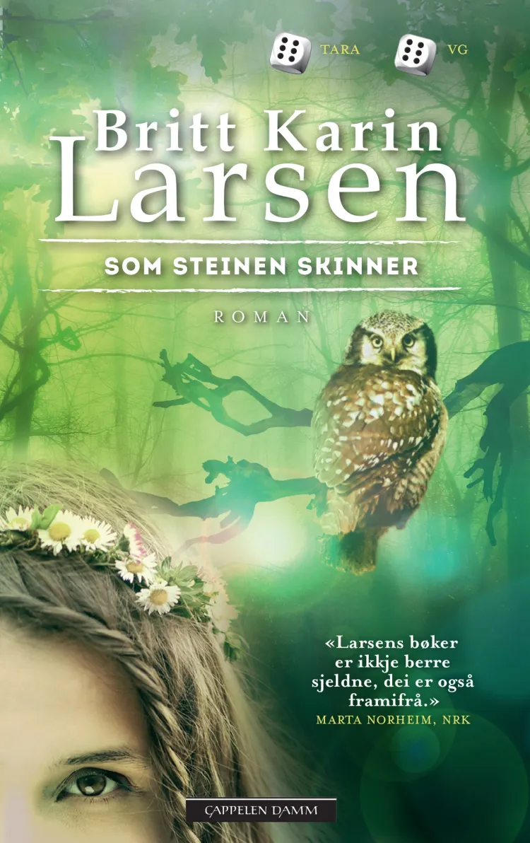 Omslag Som steinen skinner av Britt Karin Larsen (Heftet)