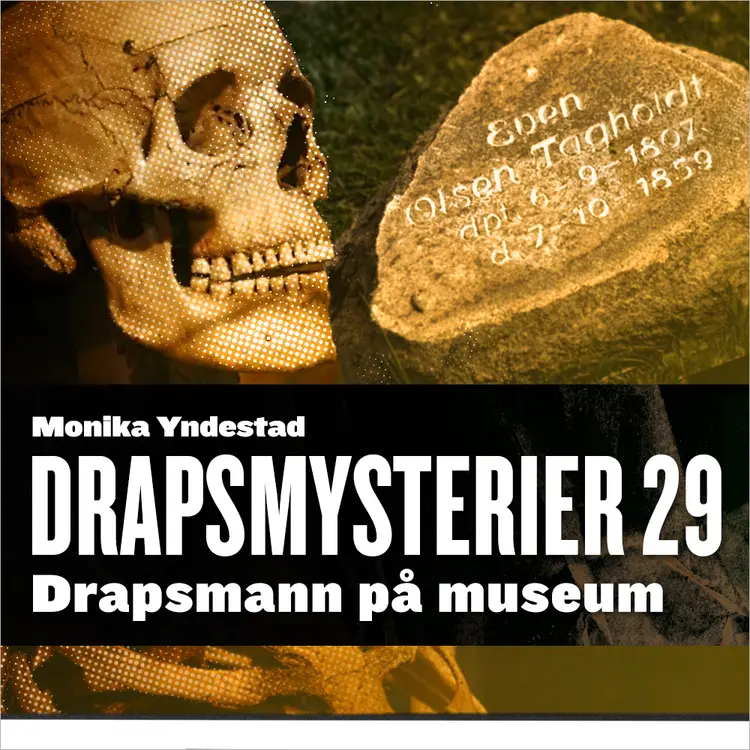 Omslag Drapsmann på museum av Monika N. Yndestad (Lydbok)