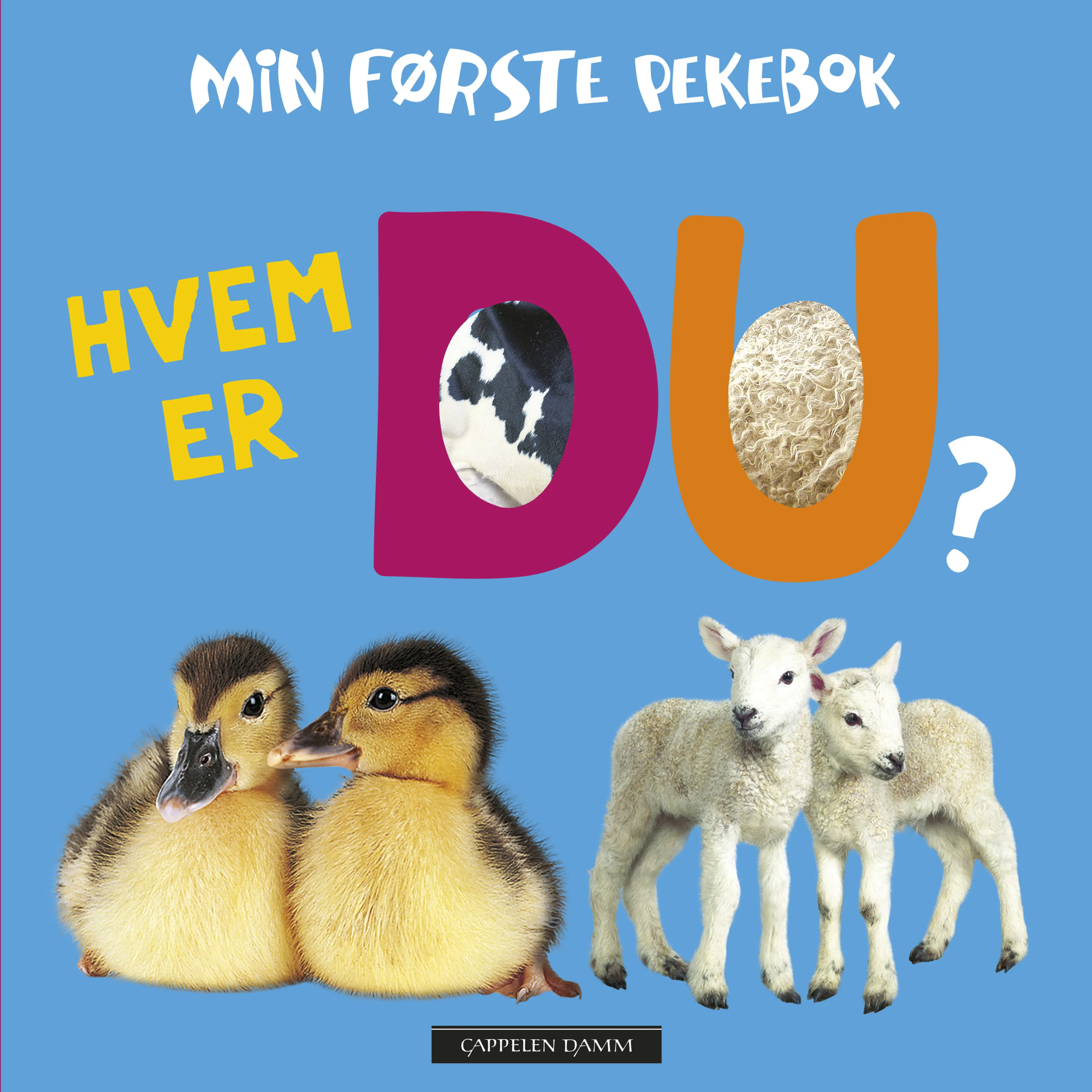 Omslag Hvem er du? (Innbundet)