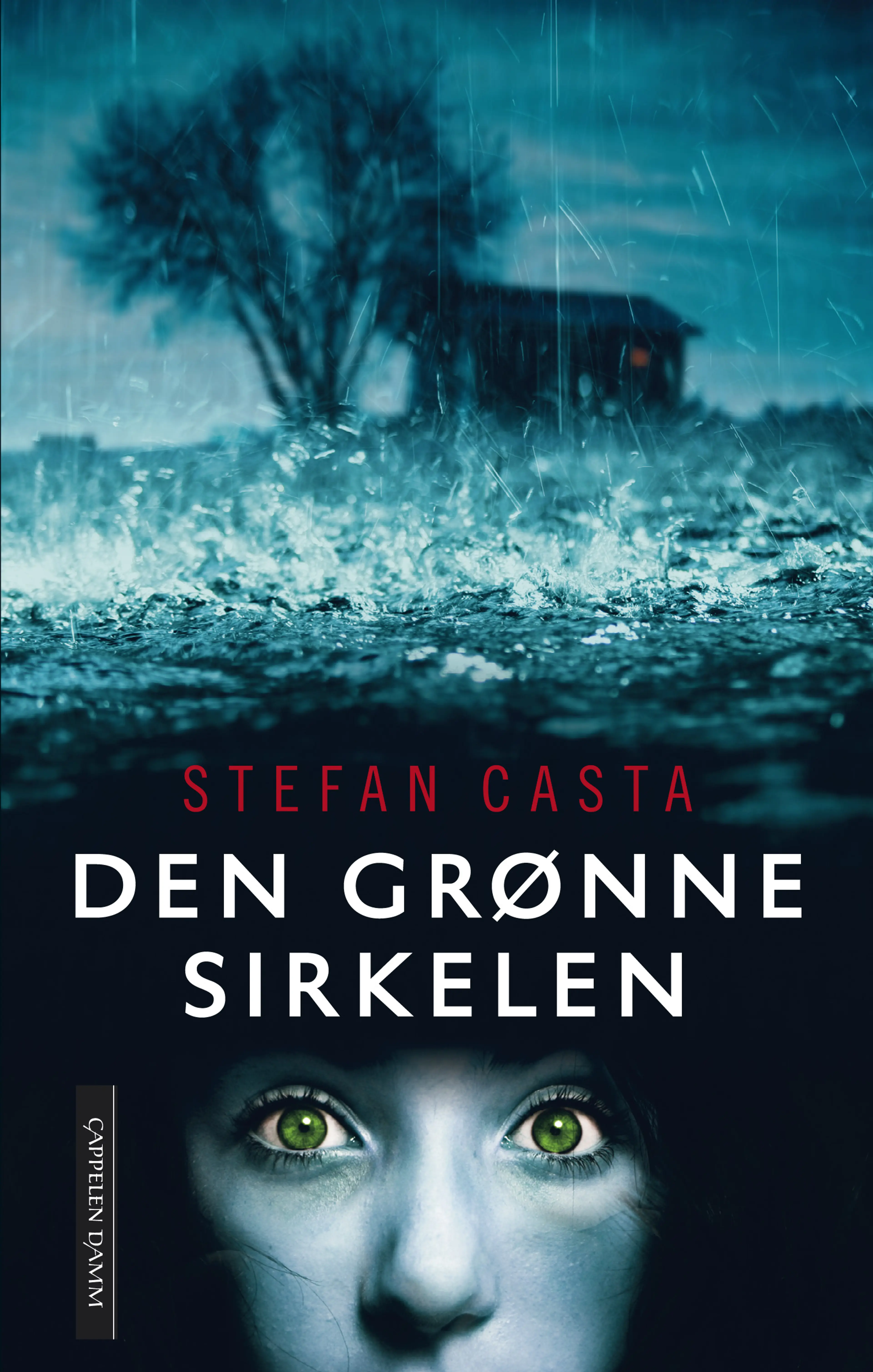 Omslag Den grønne sirkelen av Stefan Casta (Innbundet)
