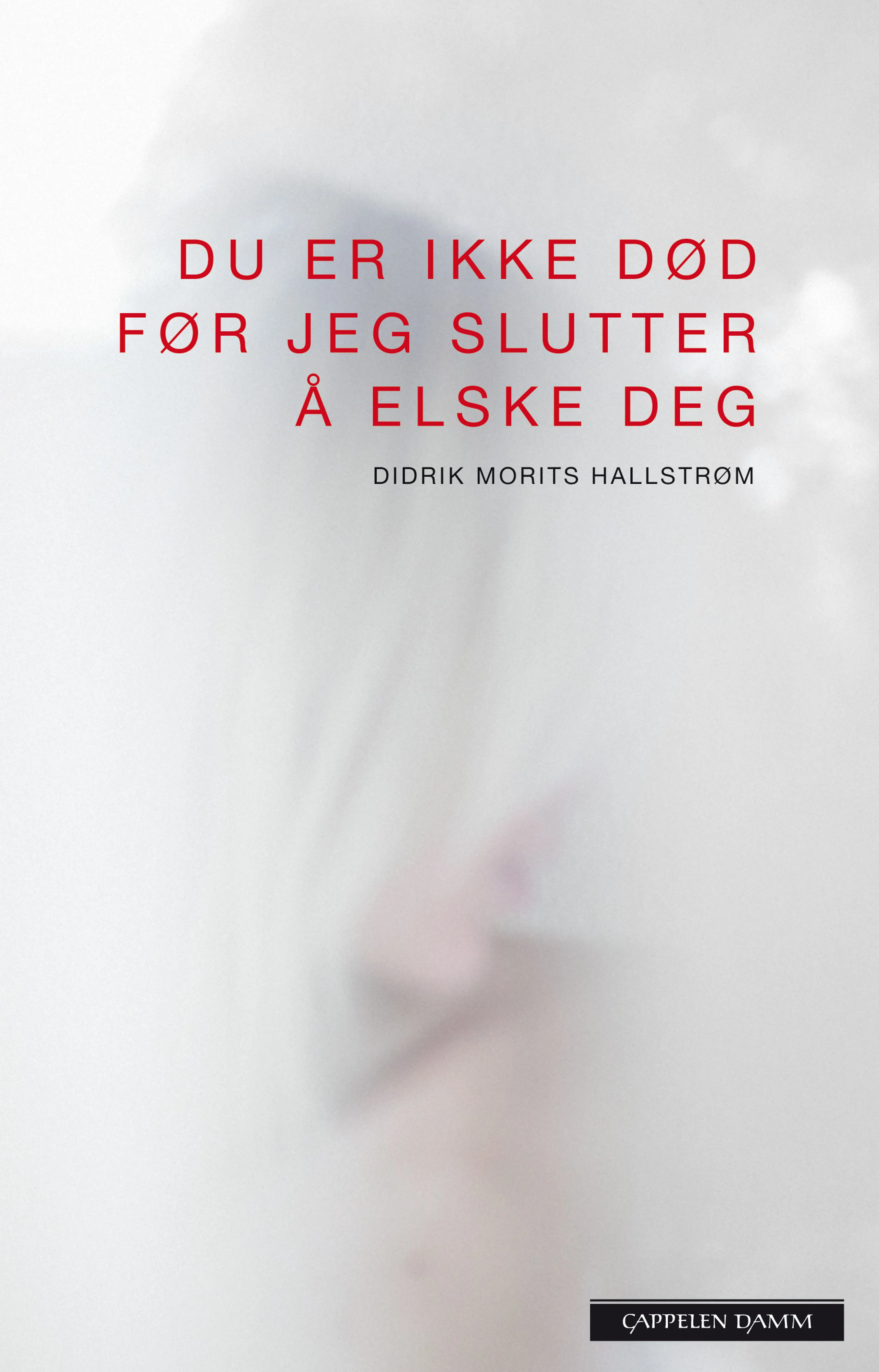 Omslag Du er ikke død før jeg slutter å elske deg av Didrik Morits Hallstrøm (Innbundet)