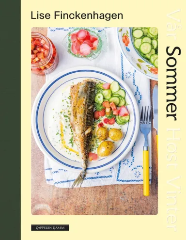 Omslag Sommer av Lise Finckenhagen (Innbundet)