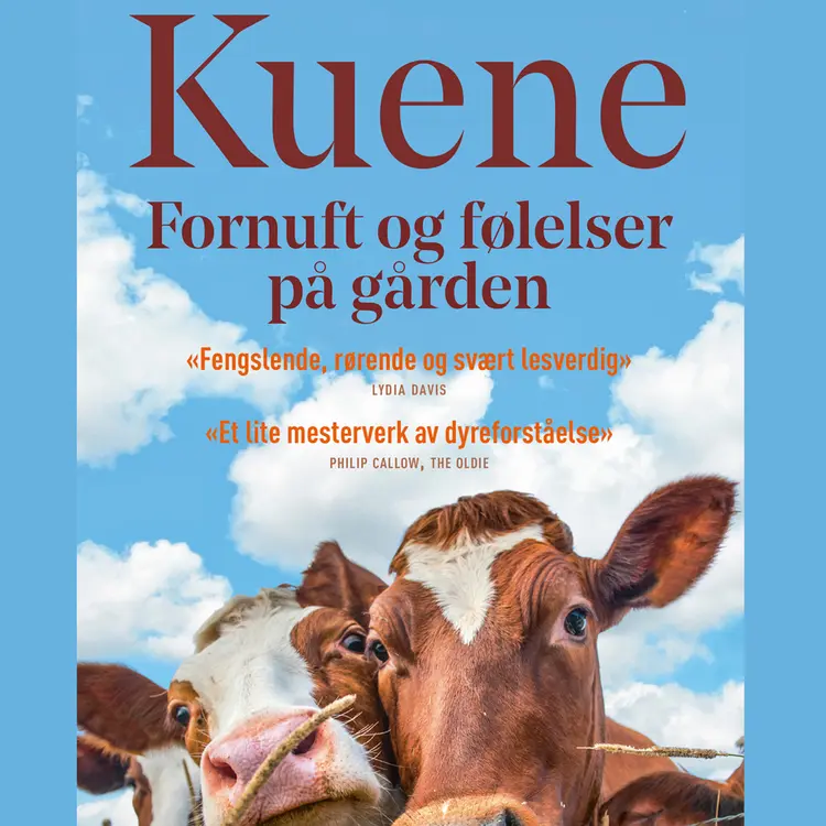 Omslag Kuene - fornuft og følelser på gården av Rosamund Young (Lydbok)