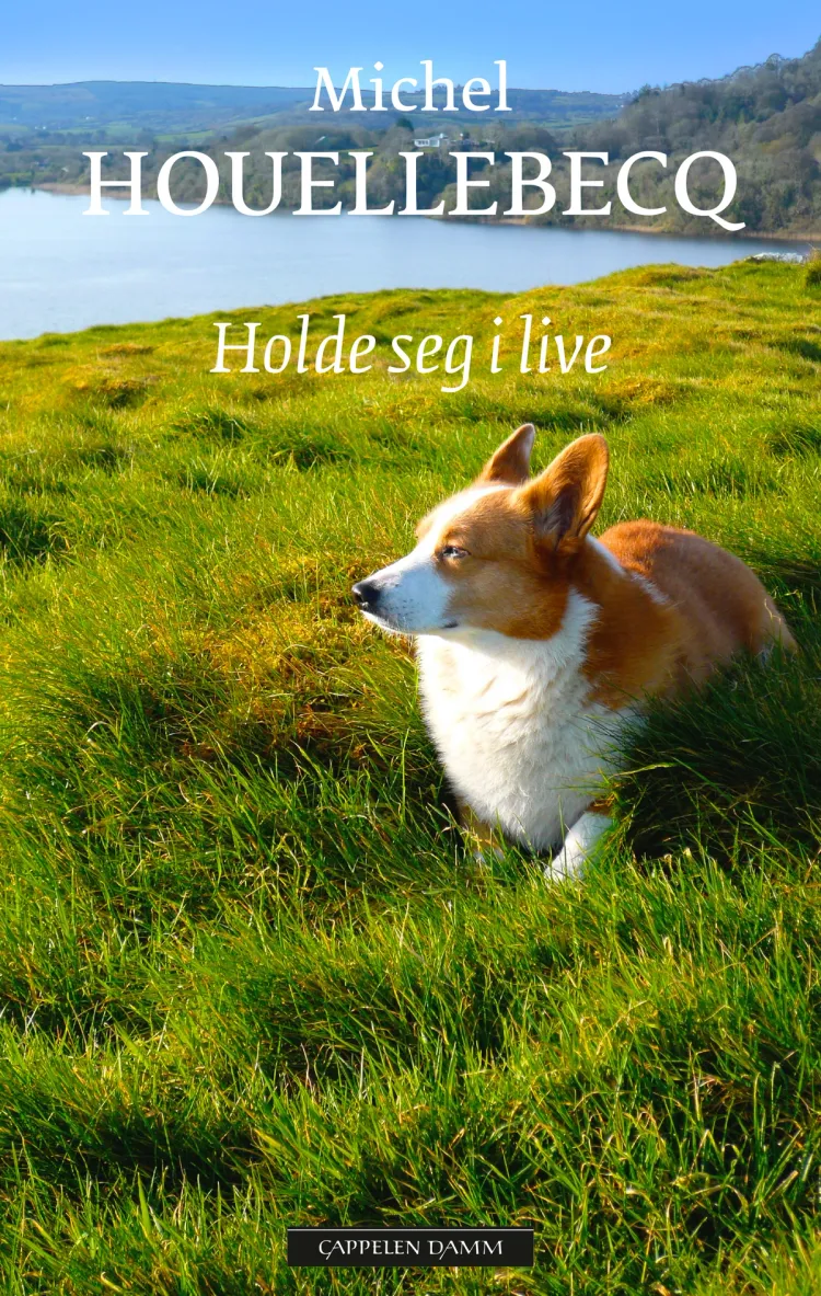 Omslag Holde seg i live av Michel Houellebecq (Heftet)