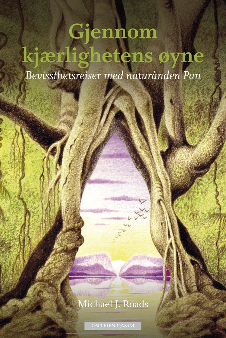 Omslag Gjennom kjærlighetens øyne av Michael J. Roads (Innbundet)
