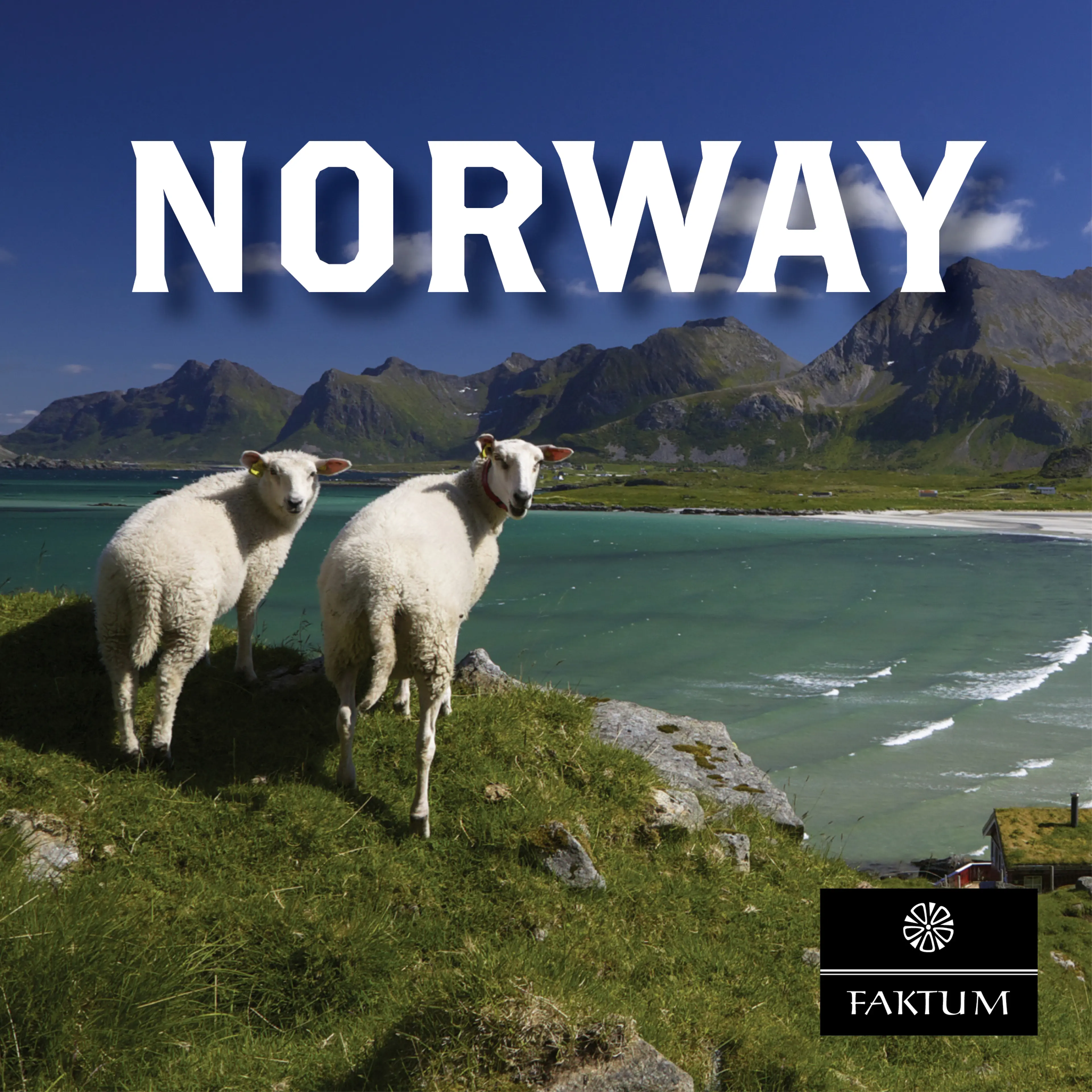 Omslag Norway in a bag (Innbundet)