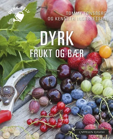 Omslag Dyrk frukt og bær av Kenneth Ingebretsen og Tommy Tønsberg (Heftet)
