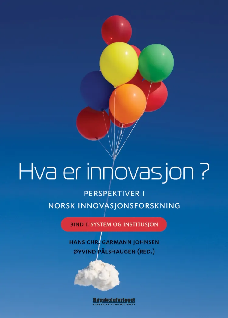 Omslag Hva er innovasjon? Perspektiver i norsk innovasjonsforskning av Hans Chr. Garmann Johnsen og Øyvind Pålshaugen (red.) (Heftet)