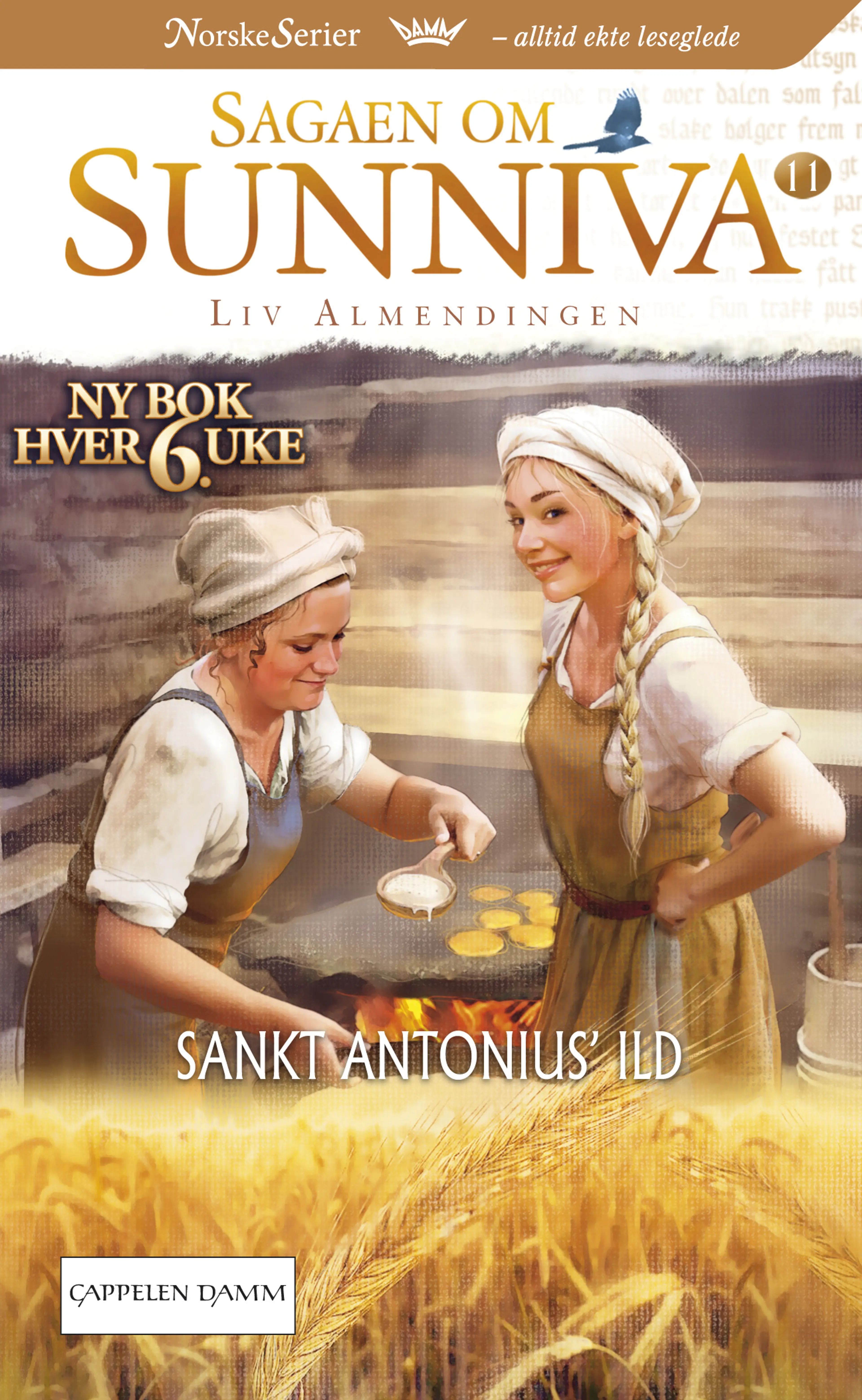 Omslag Sankt Antonius' ild av Liv Karin Kirkebøen Almendingen (Heftet)