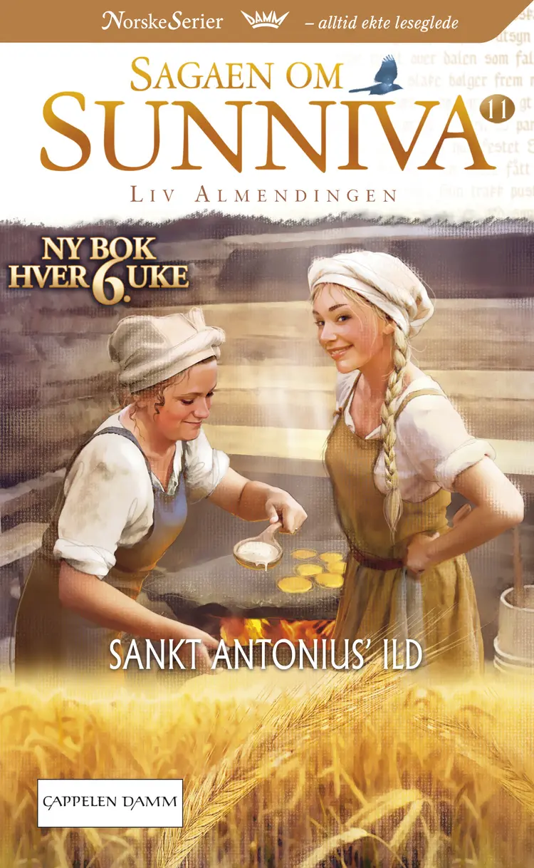 Omslag Sankt Antonius' ild av Liv Karin Kirkebøen Almendingen (Heftet)