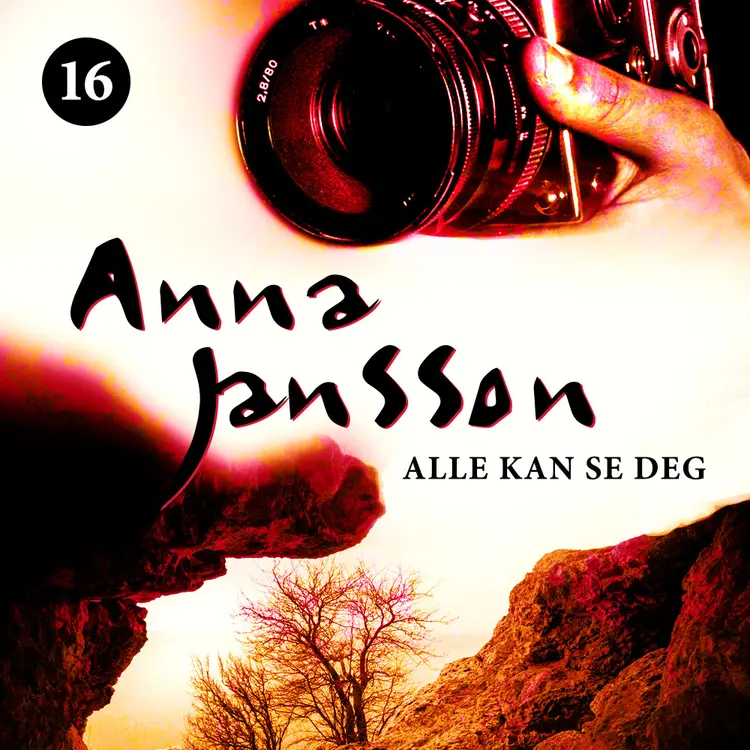 Omslag Alle kan se deg av Anna Jansson (Lydbok)