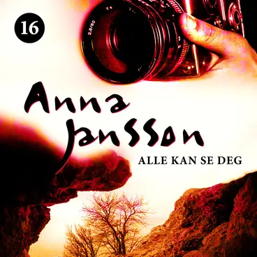 Omslag Alle kan se deg av Anna Jansson (Lydbok)