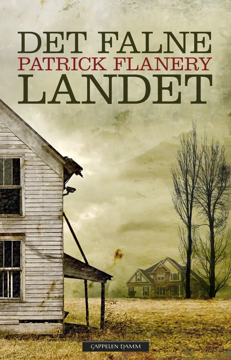 Omslag Det falne landet av Patrick Flanery (Innbundet)