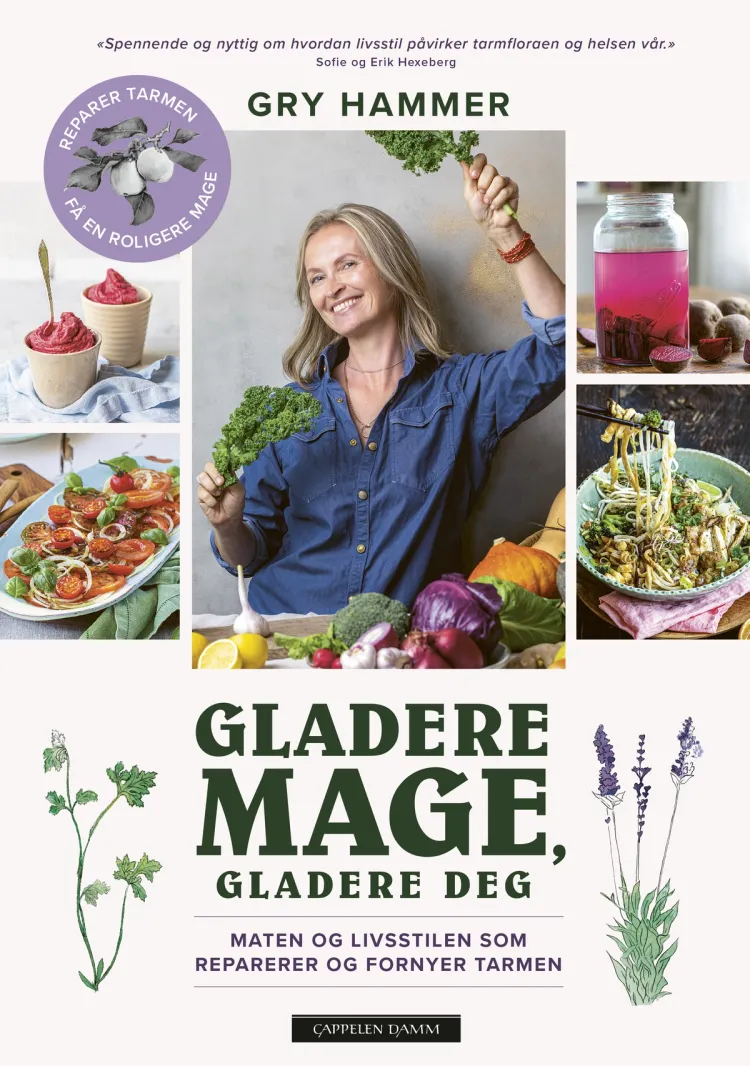 Omslag Gladere mage, gladere deg av Gry Hammer (Innbundet)