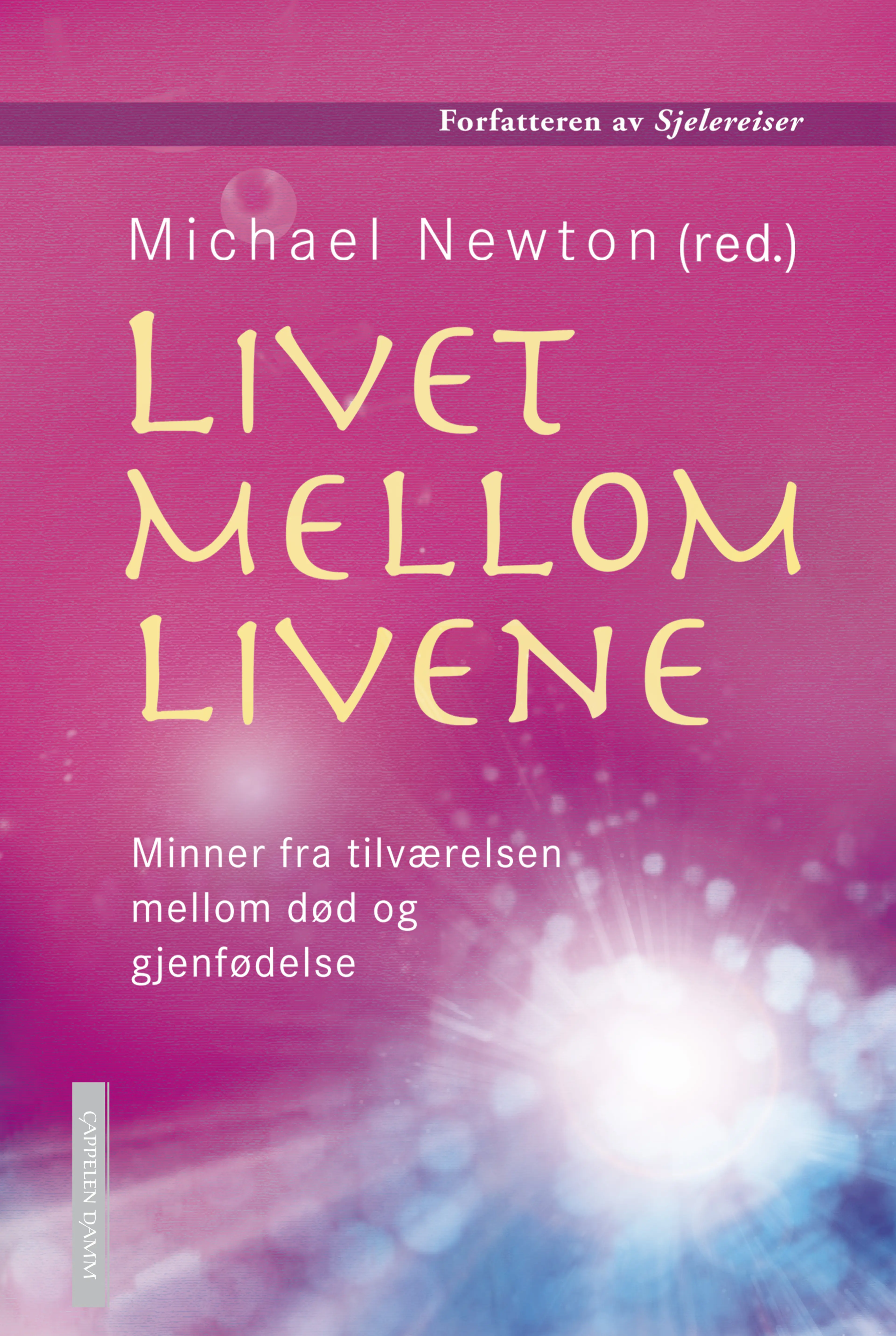 Omslag Livet mellom livene av Michael Newton (Innbundet)