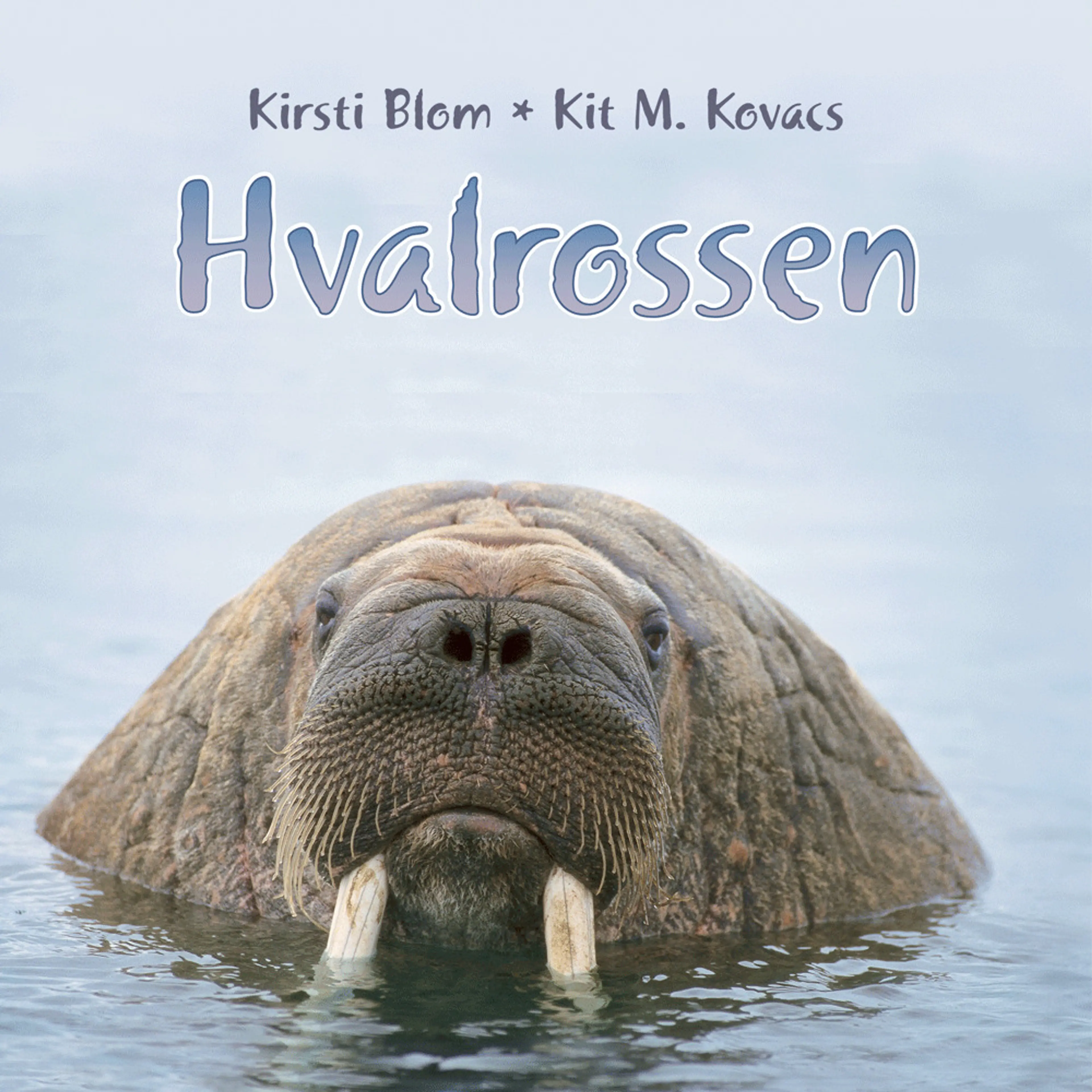 Omslag Hvalrossen av Kirsti Blom og Kit M. Kovacs (Lydbok)