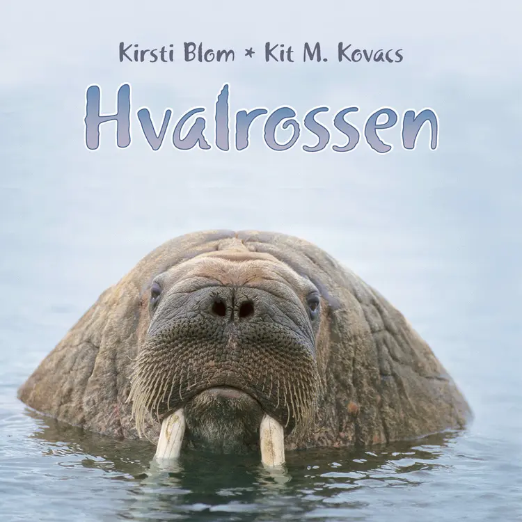 Omslag Hvalrossen av Kirsti Blom og Kit M. Kovacs (Lydbok)