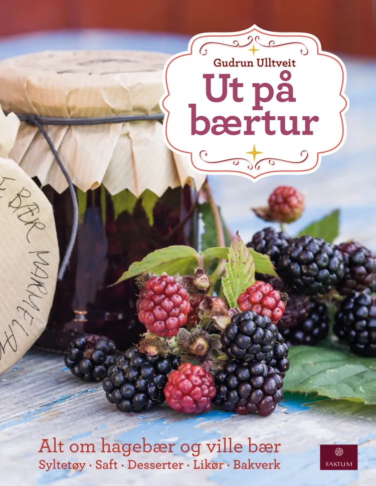 Omslag Ut på bærtur av Gudrun Ulltveit (Innbundet)