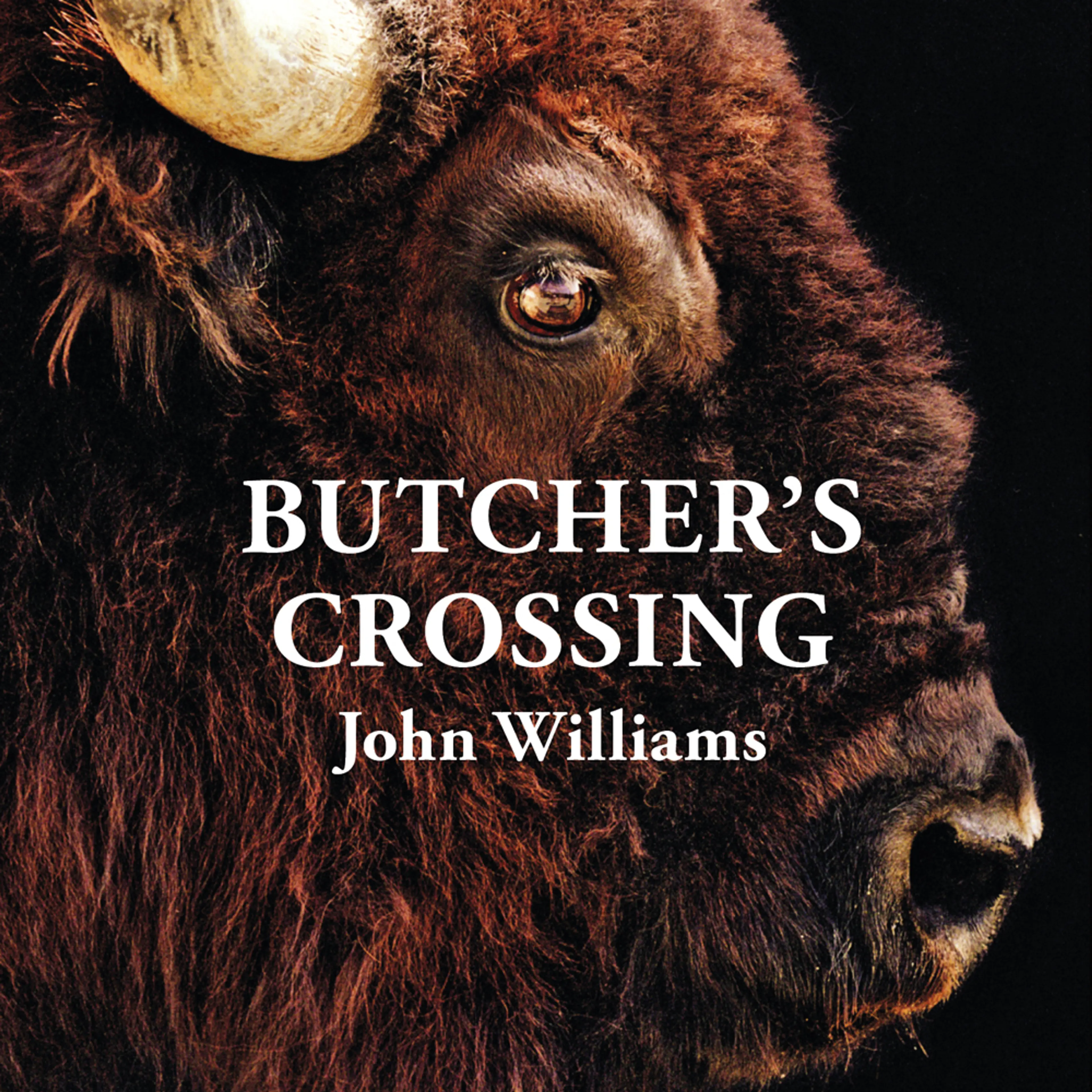 Omslag Butcher's Crossing av John Williams (Lydbok)