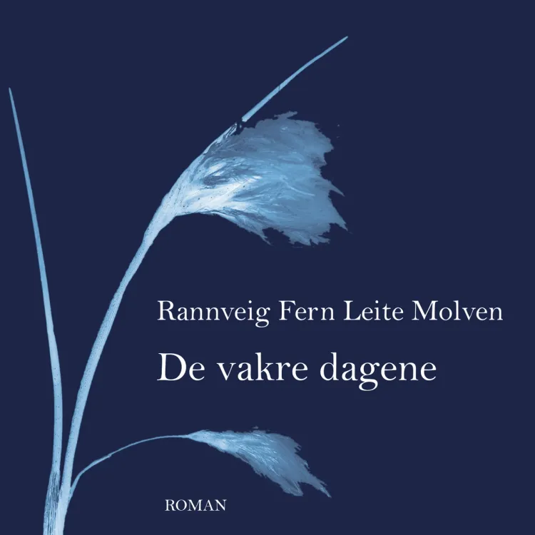 Omslag De vakre dagene av Rannveig Fern Leite Molven (Lydbok)