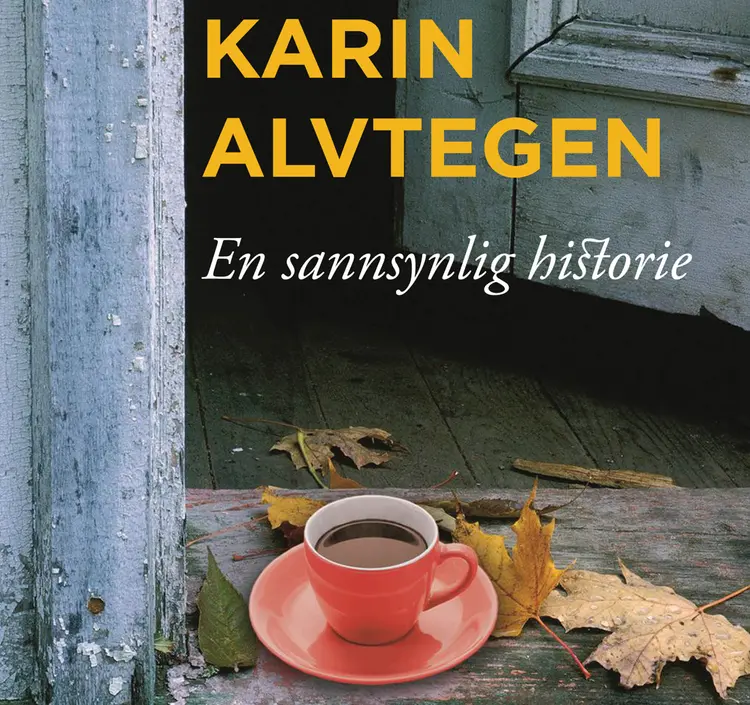 Omslag En sannsynlig historie av Karin Alvtegen (Lydbok)
