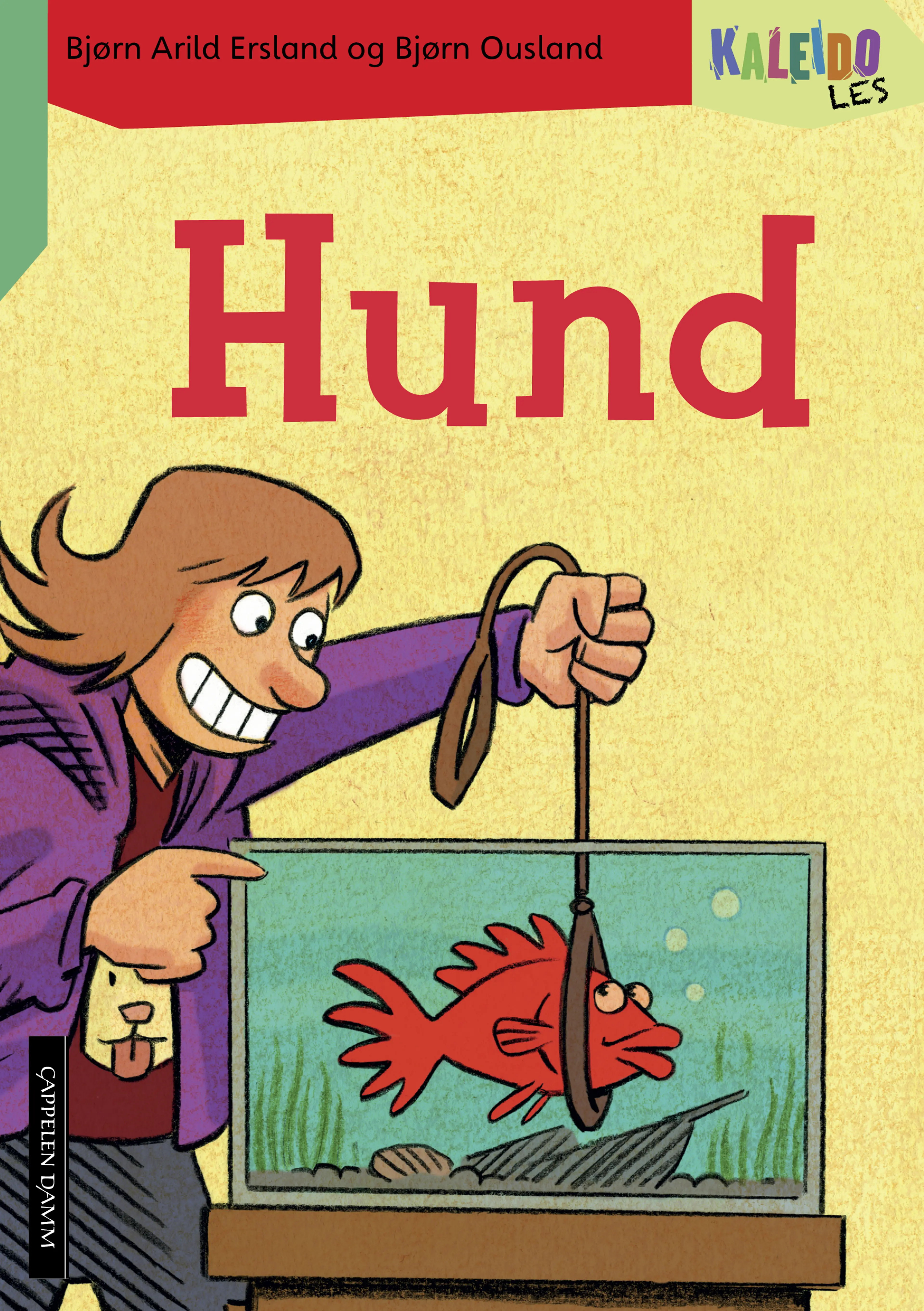 Omslag Kaleido Les Nivå 4 Hund av Bjørn Arild Ersland (Heftet)