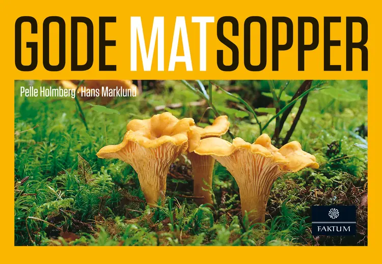 Omslag Gode matsopper av Holmberg, Pelle / Marklund, Hans (Innbundet)