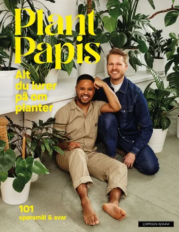 Omslag Alt du lurer på om planter av Plant Papis (Innbundet)