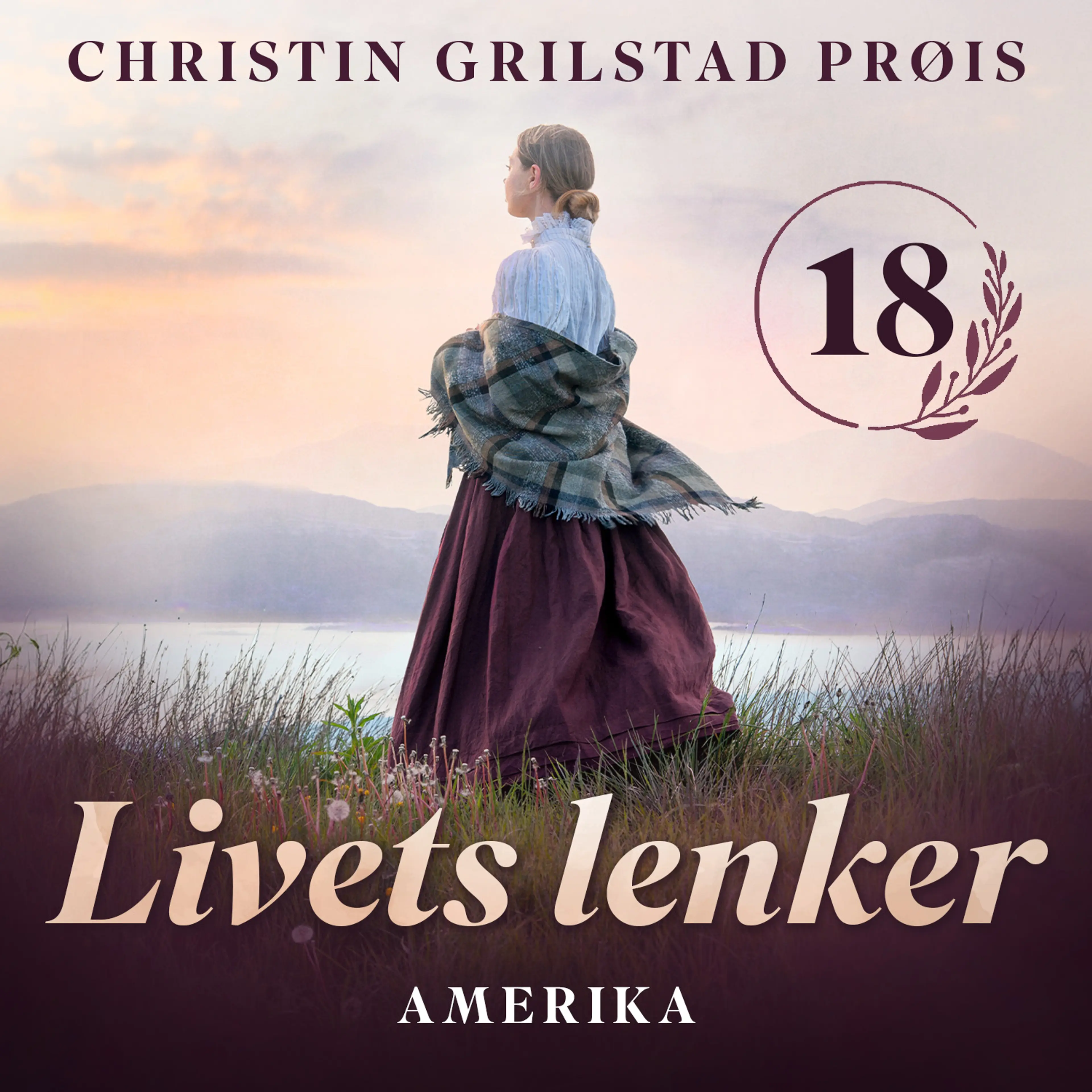 Omslag Amerika av Christin Grilstad Prøis (Lydbok)