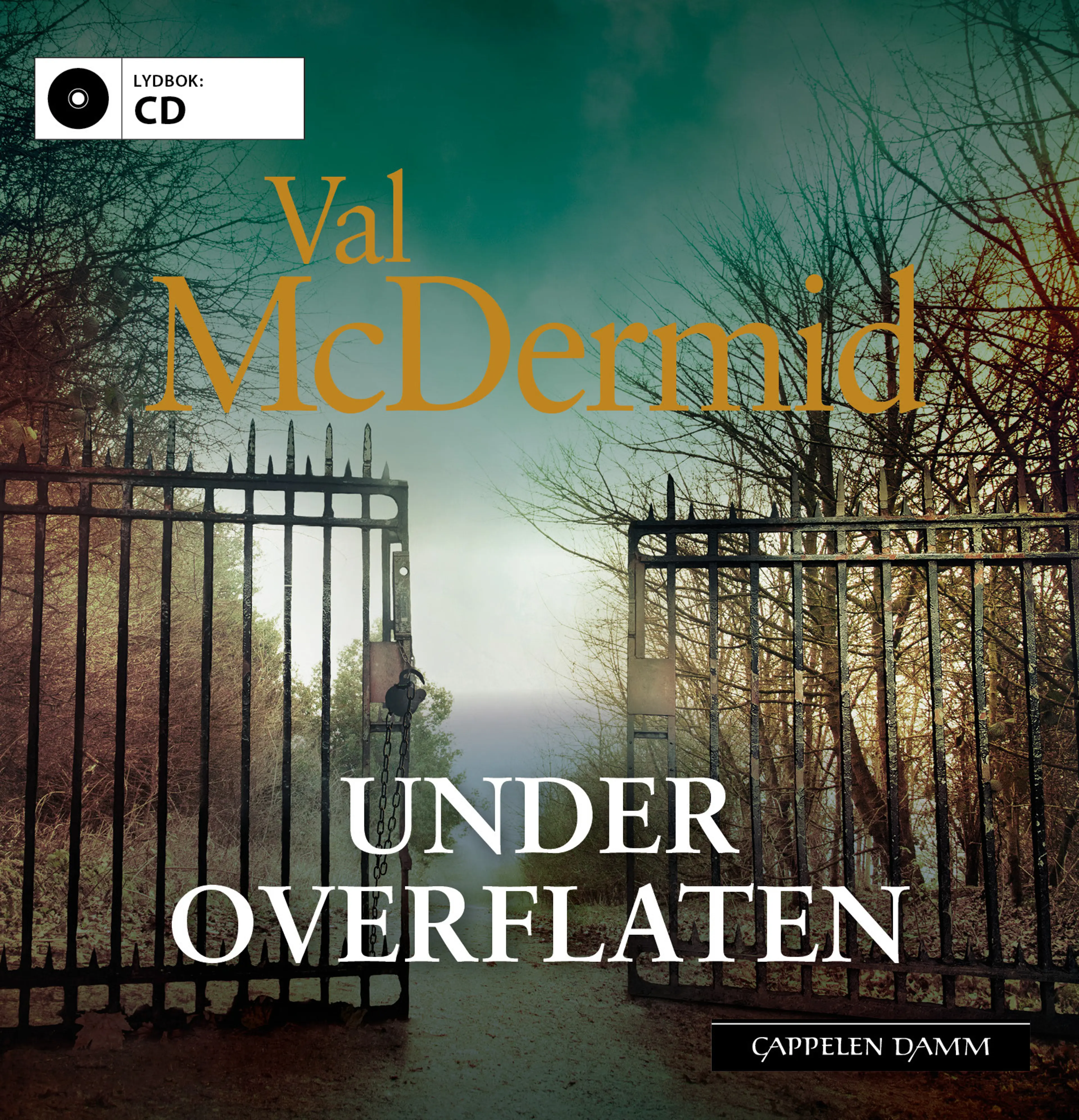 Omslag Under overflaten av Val McDermid (CD)