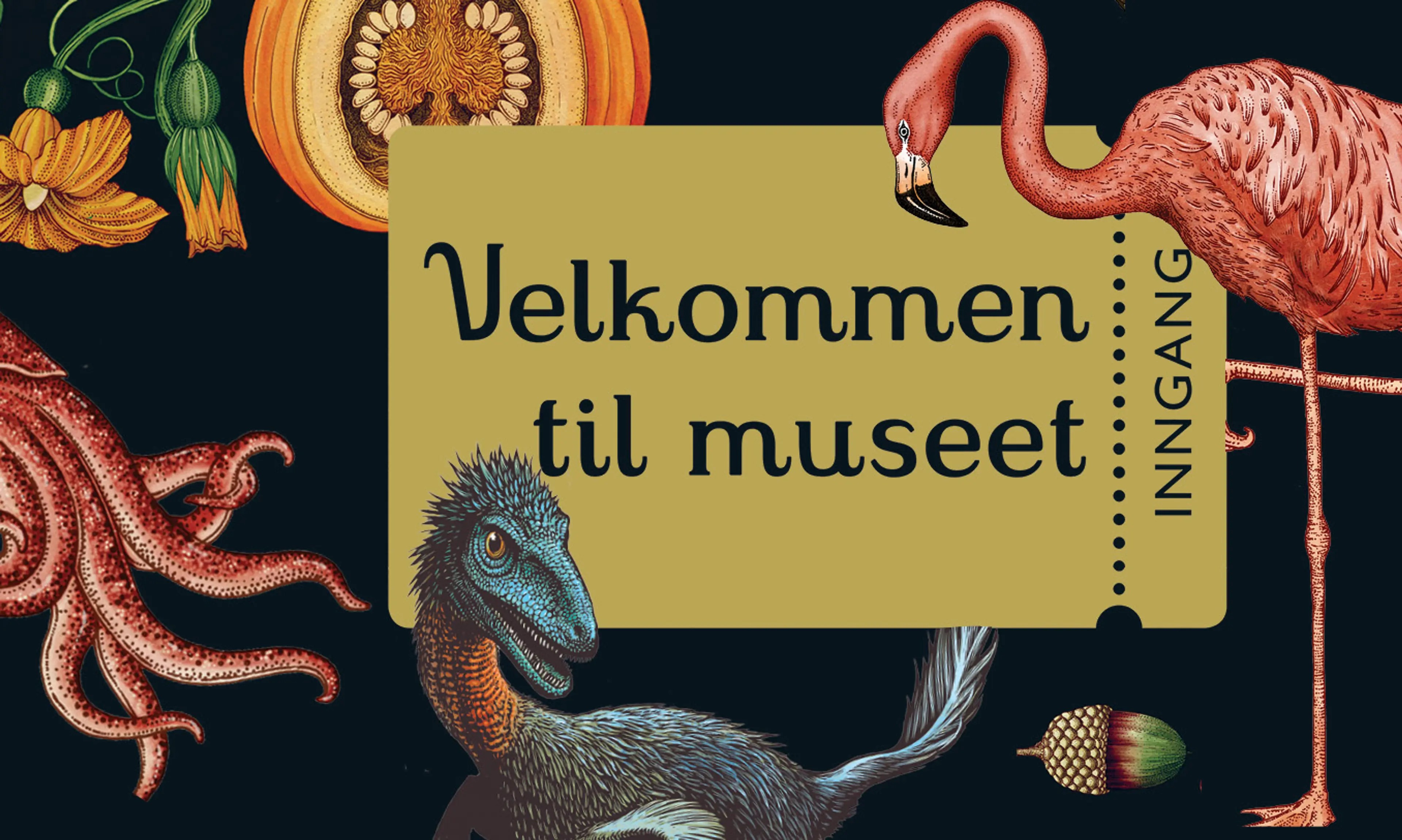 Velkommen til museet