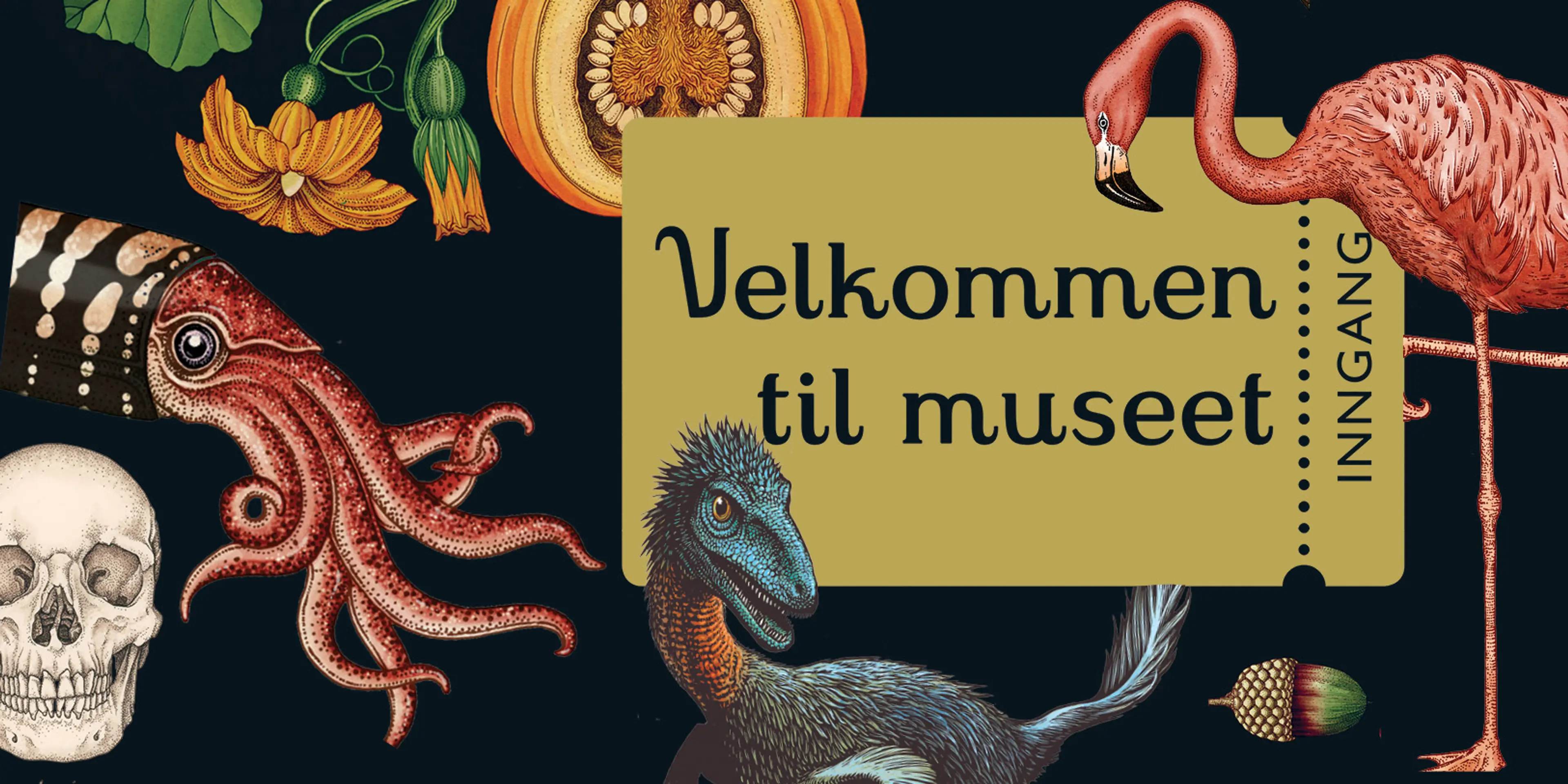 Velkommen til museet