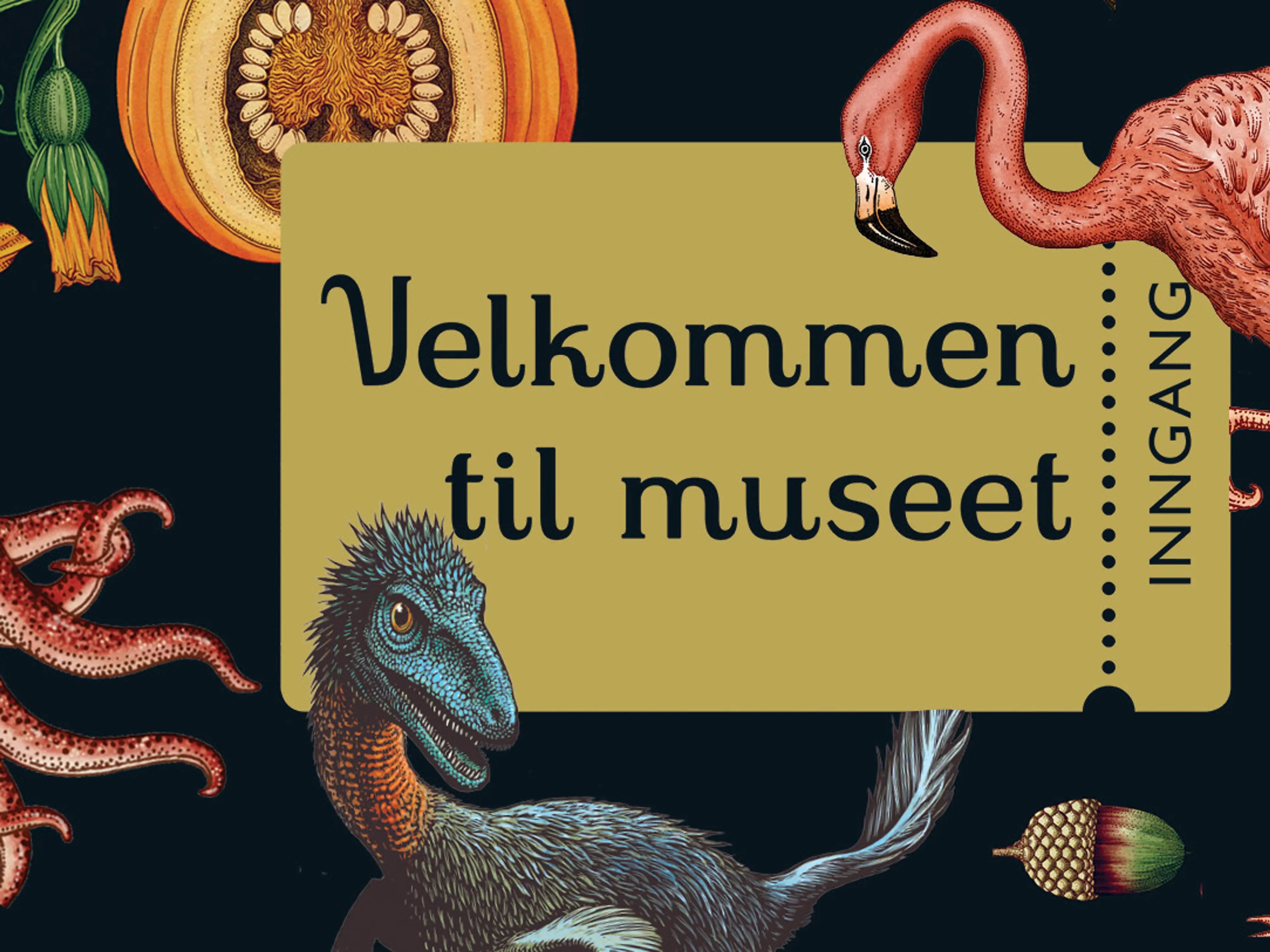 Velkommen til museet